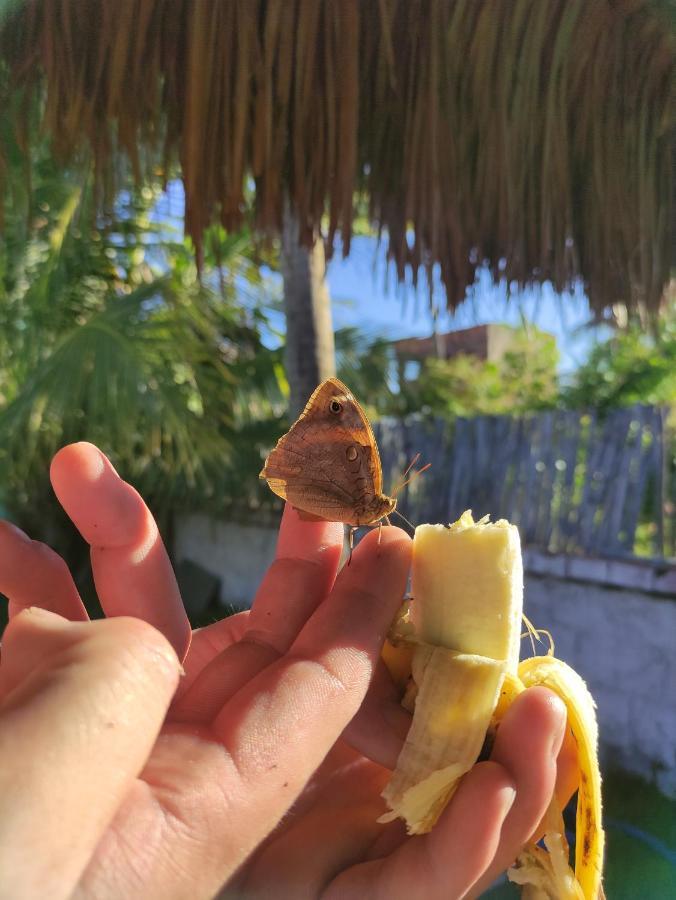 Vila Da Sereia Hostel E Pousada Icaraí Zewnętrze zdjęcie